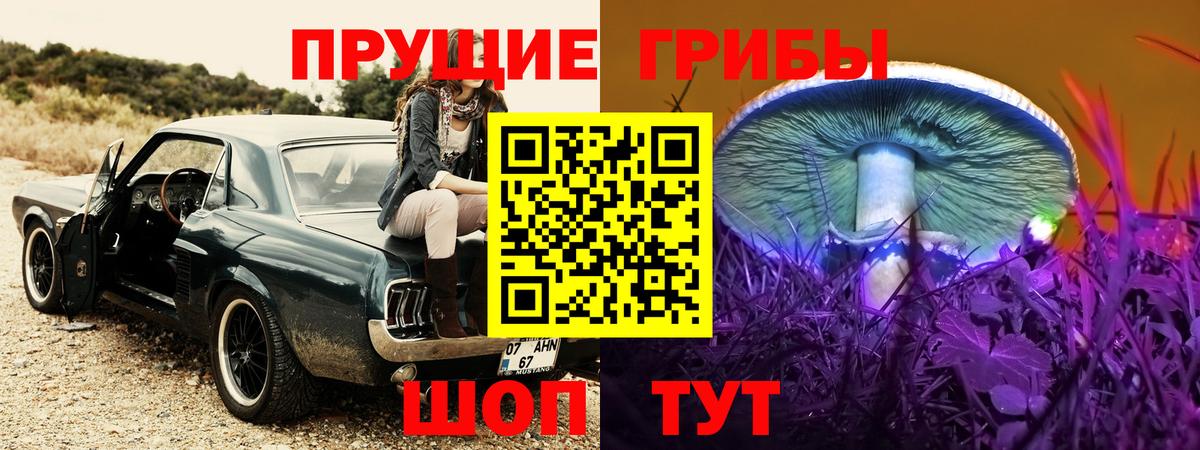 Псилоцибиновые грибы Psilocybine cubensis  Псилоцибиновые грибы прущие грибы  Пыть-Ях  Вход с VPN 