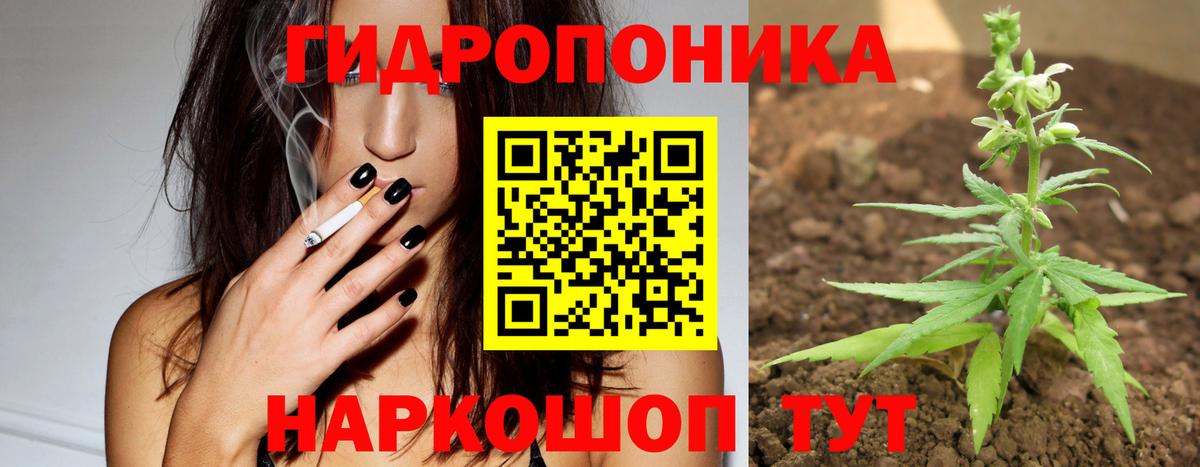 Конопля OG Kush  Вход с VPN  Конопля OG Kush  Конопля планчик  Пыть-Ях 